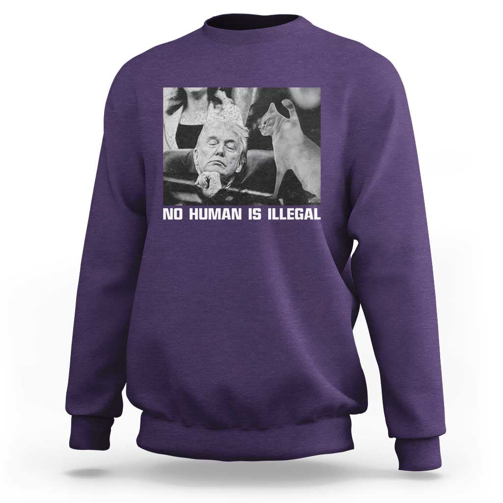 No Human Is Illegal Sweatshirt Funny Cat Anti ICE Meme