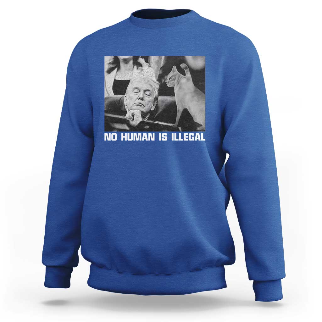 No Human Is Illegal Sweatshirt Funny Cat Anti ICE Meme