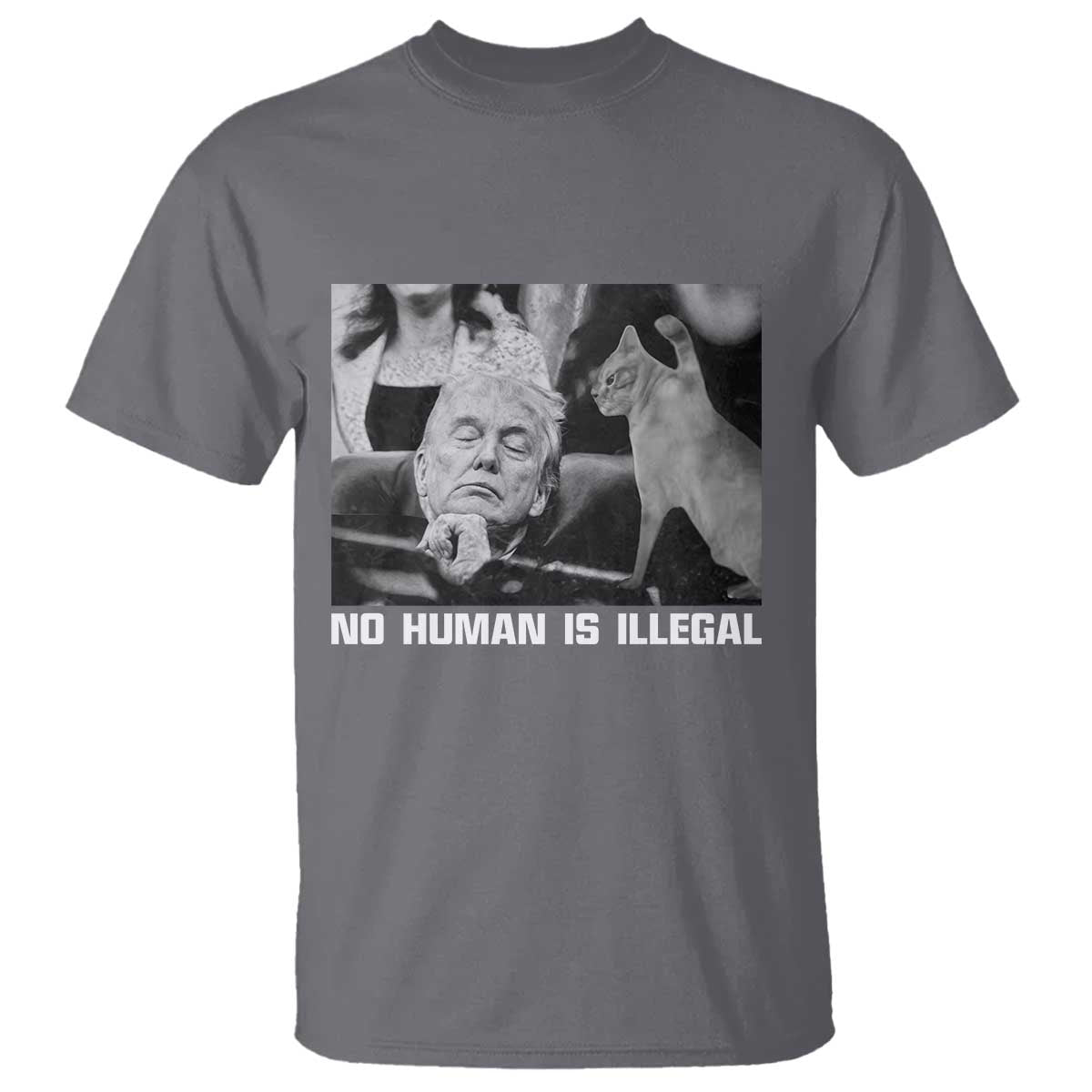 No Human Is Illegal T Shirt Funny Cat Anti ICE Meme