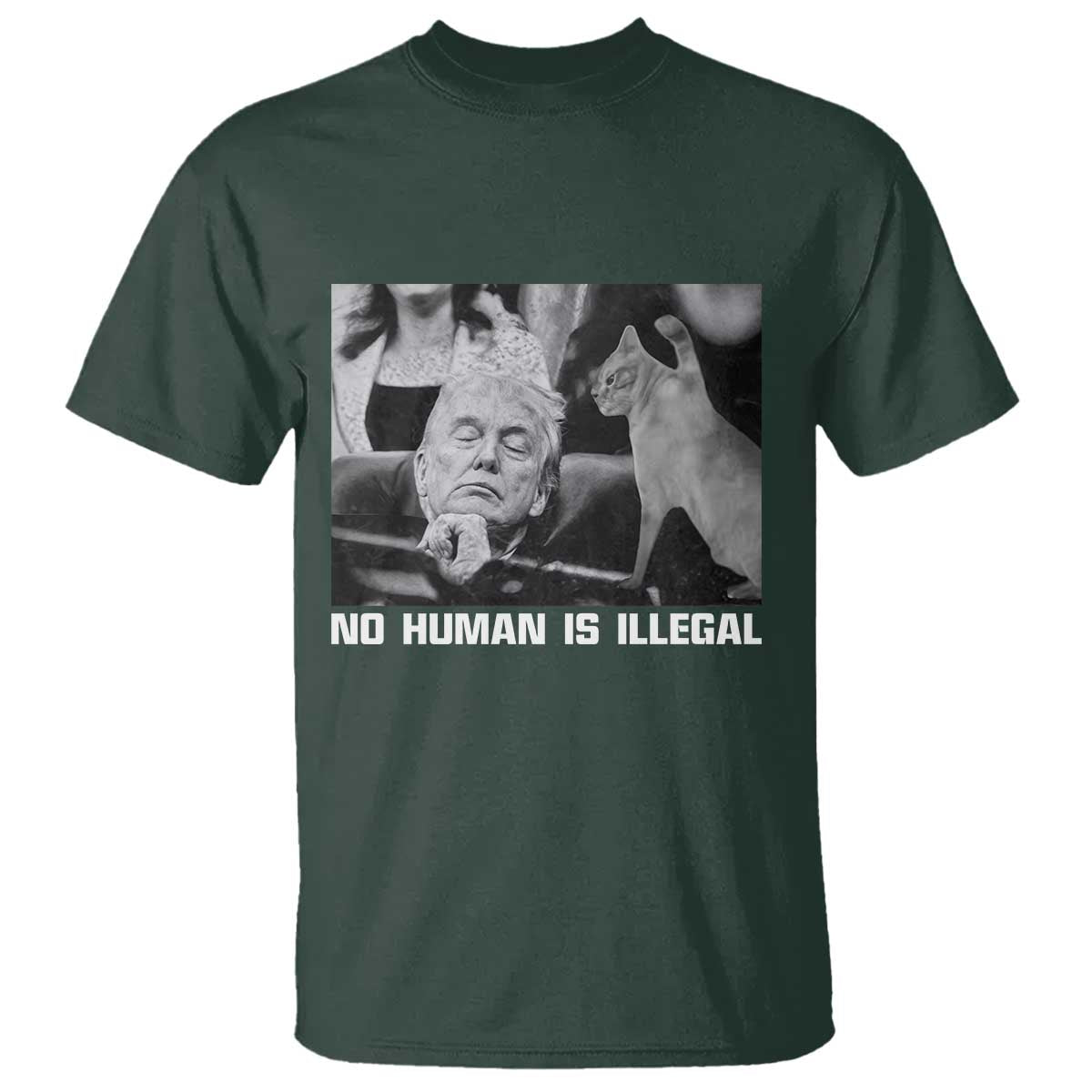 No Human Is Illegal T Shirt Funny Cat Anti ICE Meme