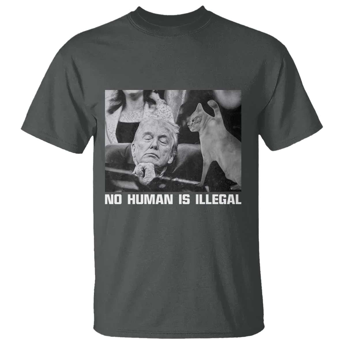 No Human Is Illegal T Shirt Funny Cat Anti ICE Meme