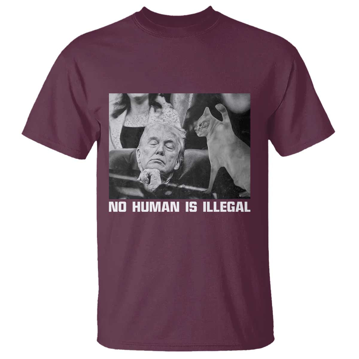 No Human Is Illegal T Shirt Funny Cat Anti ICE Meme