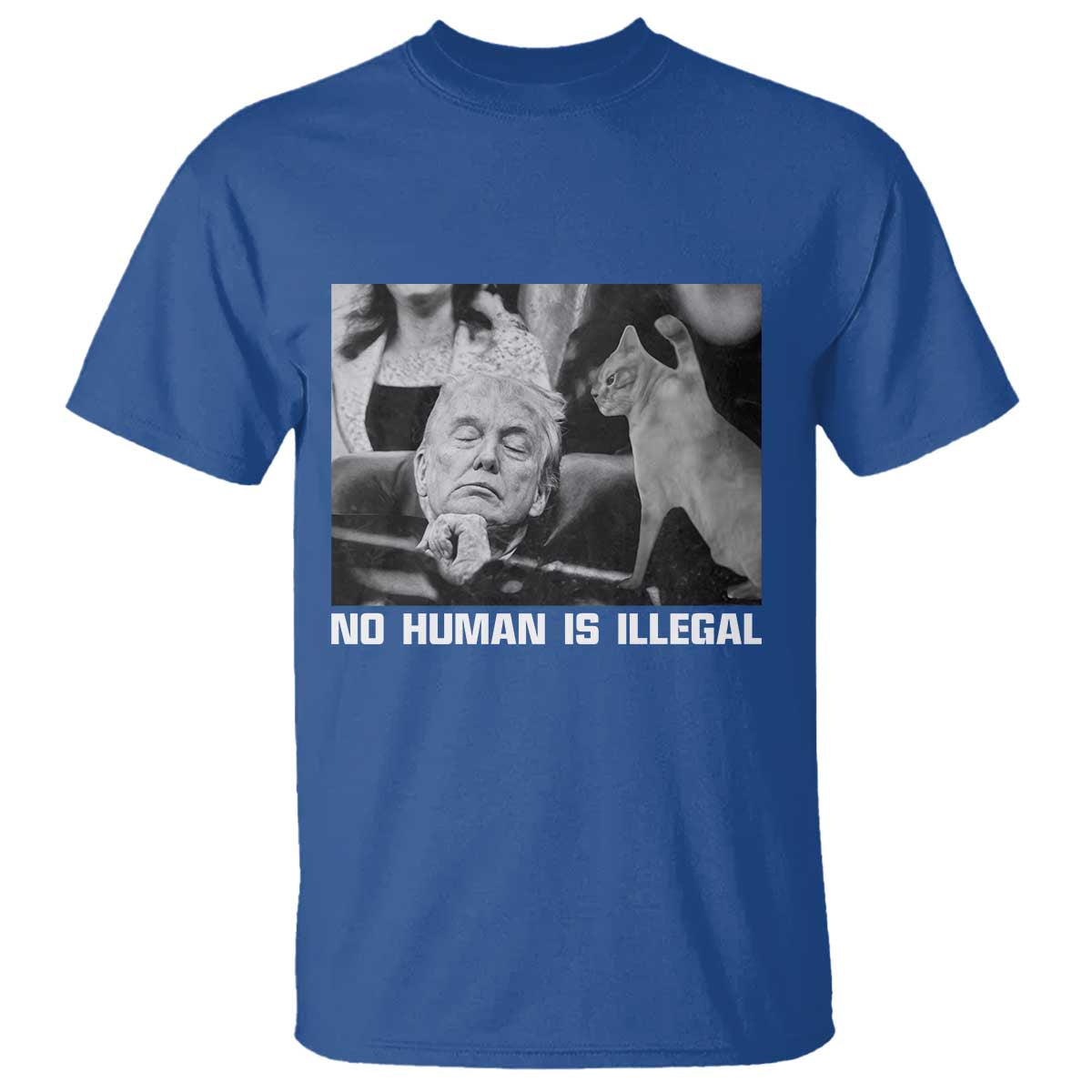 No Human Is Illegal T Shirt Funny Cat Anti ICE Meme