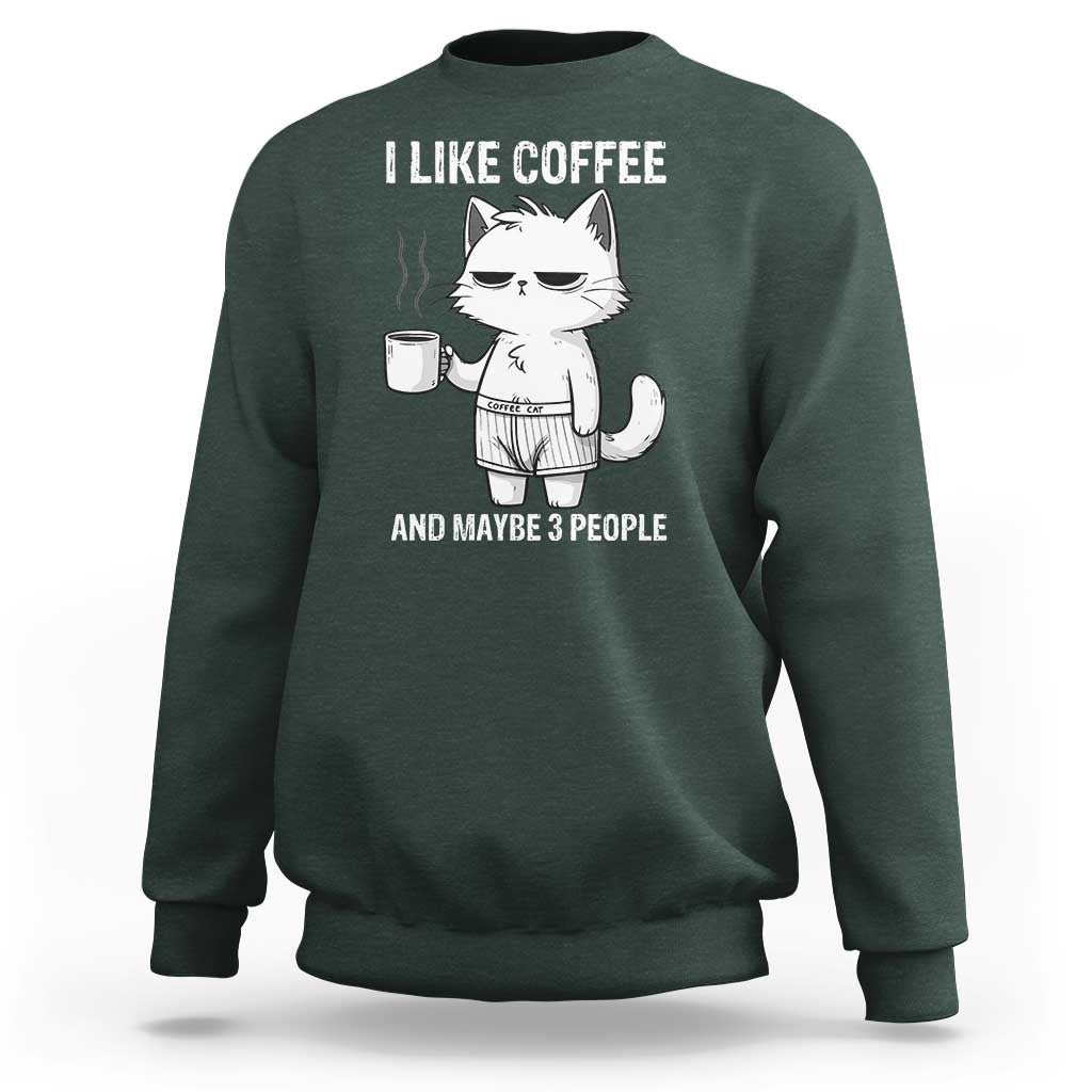 I Like Coffee And Maybe Three People Sweatshirt Funny Cat Coffee Lover - Wonder Print Shop