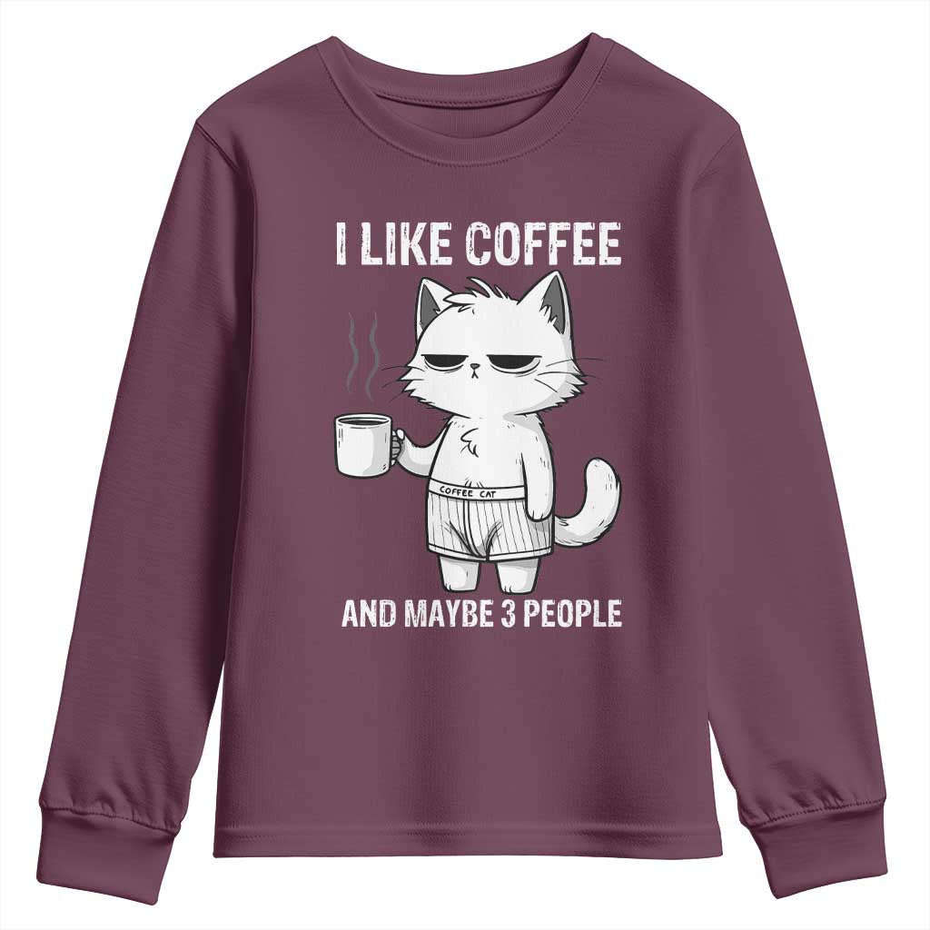 I Like Coffee And Maybe Three People Youth Sweatshirt Funny Cat Coffee Lover - Wonder Print Shop