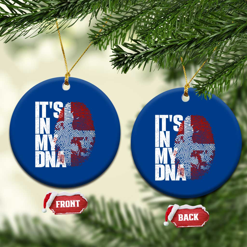 It's in My DNA Ceramic Ornament Denmark Map Flag Danish Gift