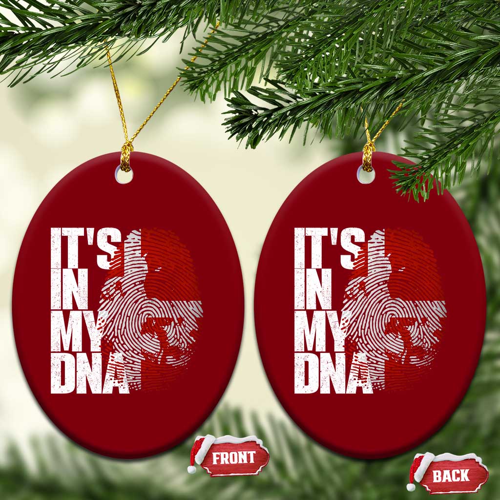 It's in My DNA Ceramic Ornament Denmark Map Flag Danish Gift