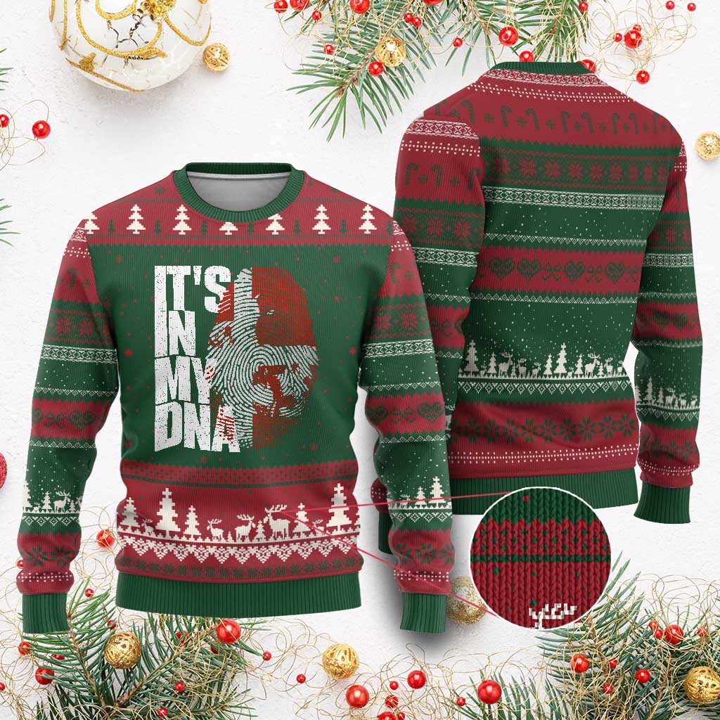 It's in My DNA Ugly Christmas Sweater Denmark Map Flag Danish Gift
