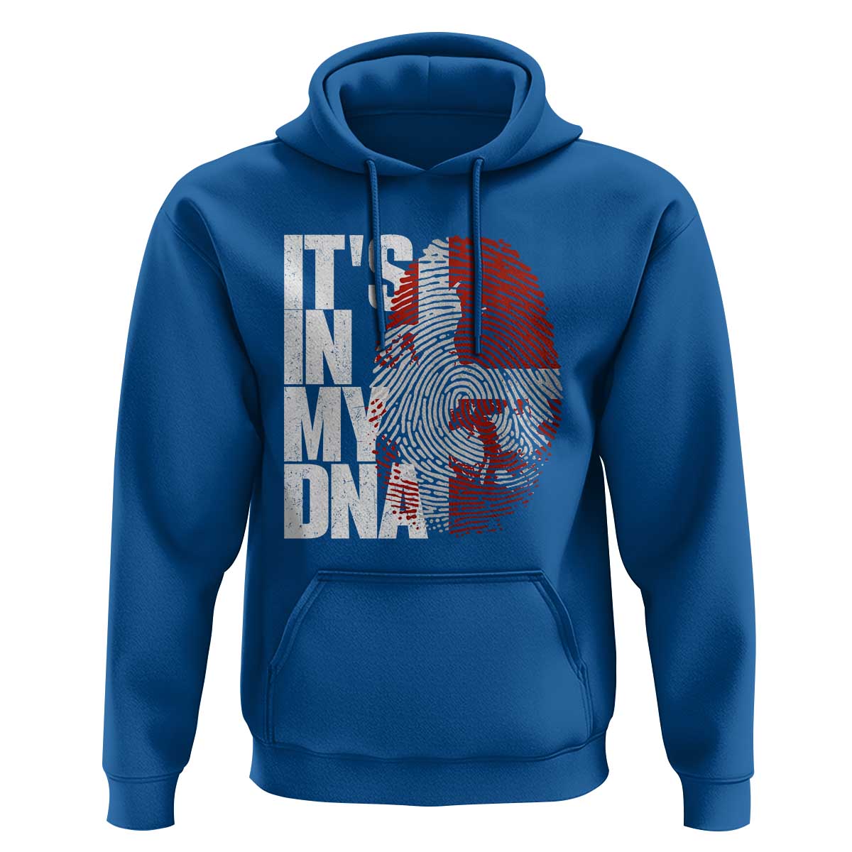 It's in My DNA Hoodie Denmark Map Flag Danish Gift