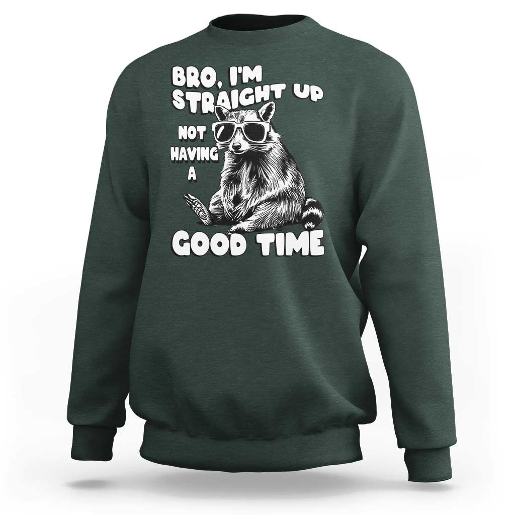Funny Raccon Sarcastic Sweatshirt Bro I Am Straight Up Not Even Having A Good Time