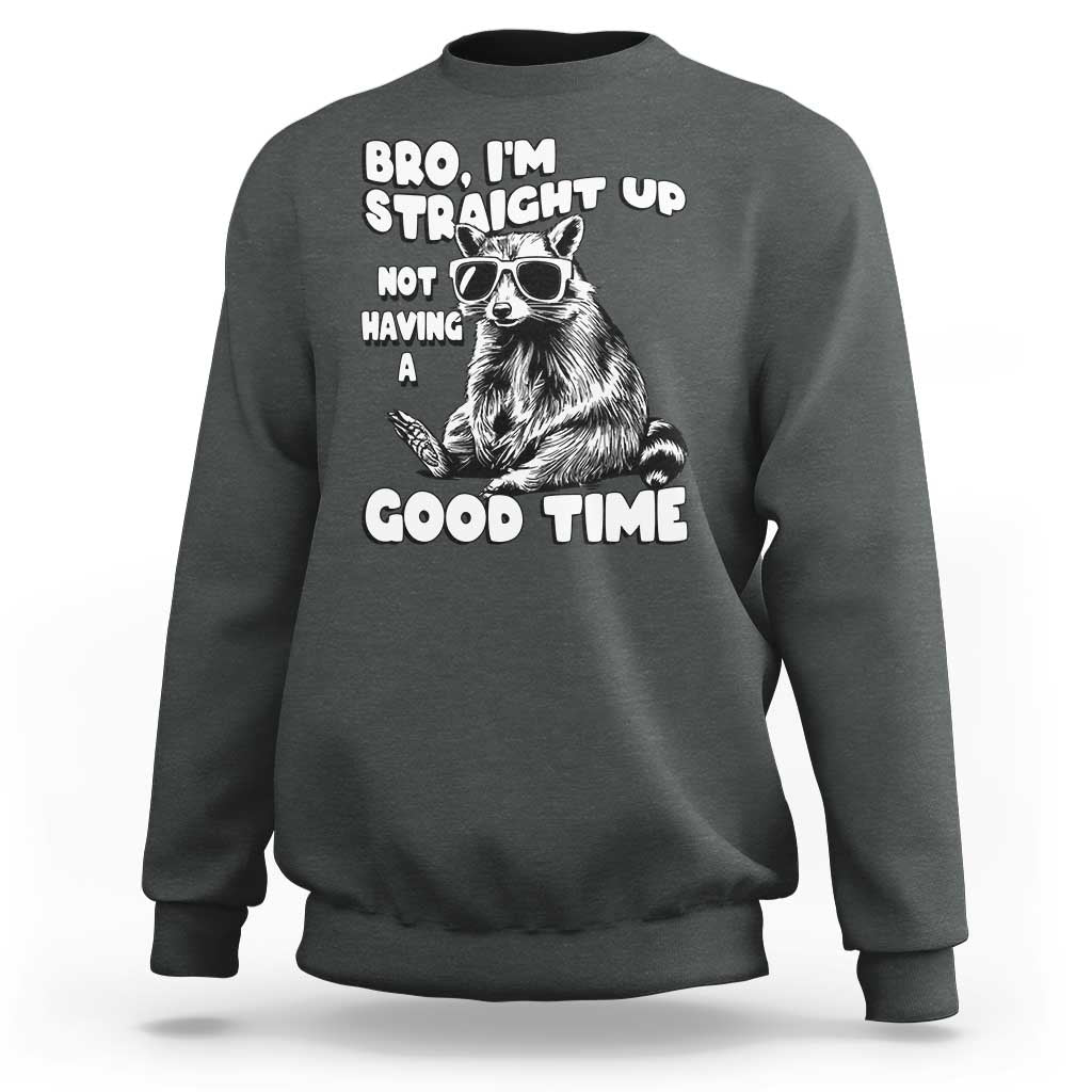 Funny Raccon Sarcastic Sweatshirt Bro I Am Straight Up Not Even Having A Good Time