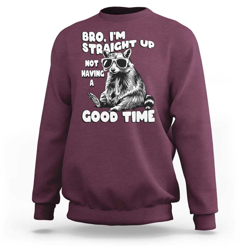 Funny Raccon Sarcastic Sweatshirt Bro I Am Straight Up Not Even Having A Good Time