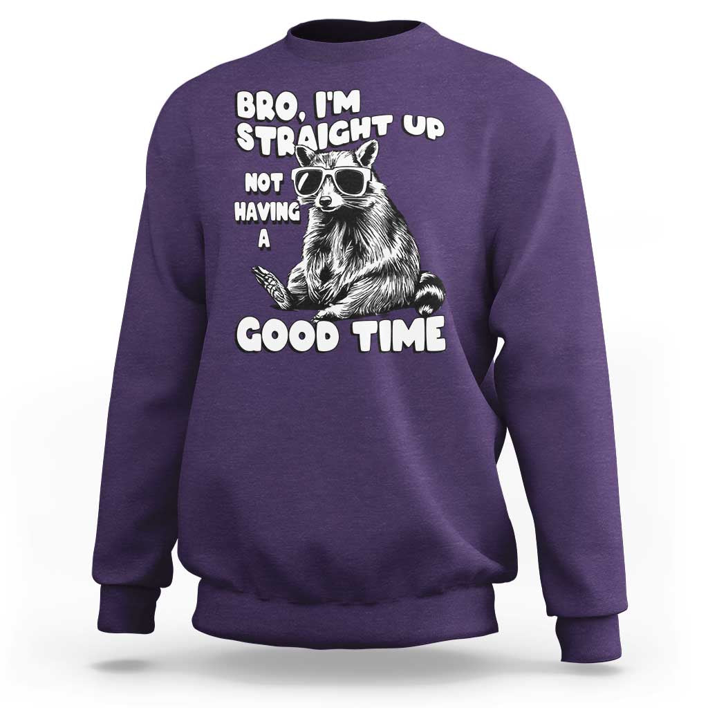 Funny Raccon Sarcastic Sweatshirt Bro I Am Straight Up Not Even Having A Good Time