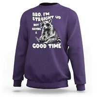 Funny Raccon Sarcastic Sweatshirt Bro I Am Straight Up Not Even Having A Good Time