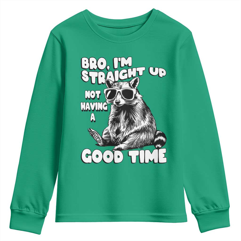 Funny Raccon Sarcastic Youth Sweatshirt Bro I Am Straight Up Not Even Having A Good Time