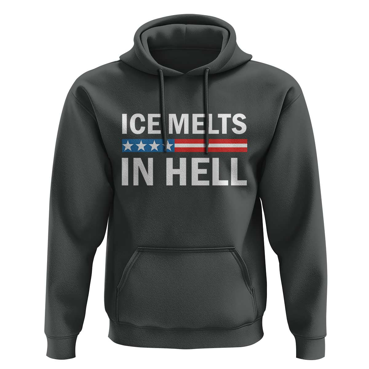 Ice Melts In Hell Hoodie Activist Statement Quote