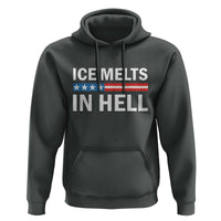 Ice Melts In Hell Hoodie Activist Statement Quote