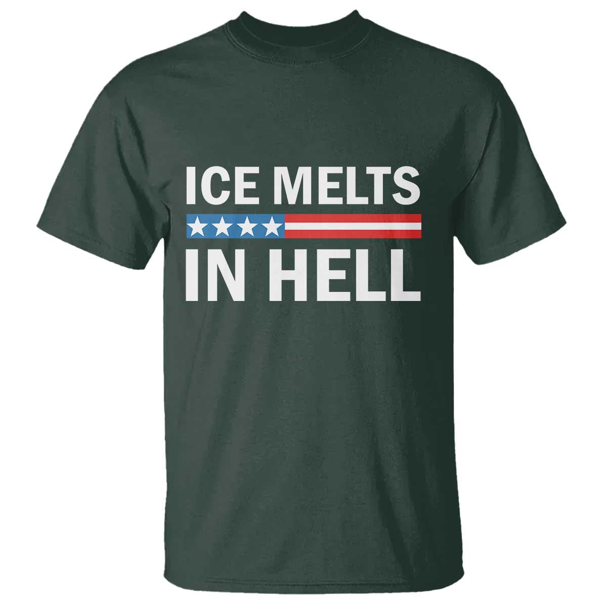 Ice Melts In Hell T Shirt Activist Statement Quote