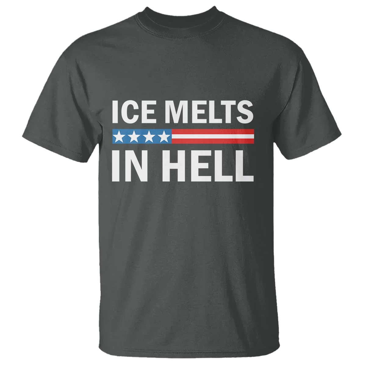 Ice Melts In Hell T Shirt Activist Statement Quote