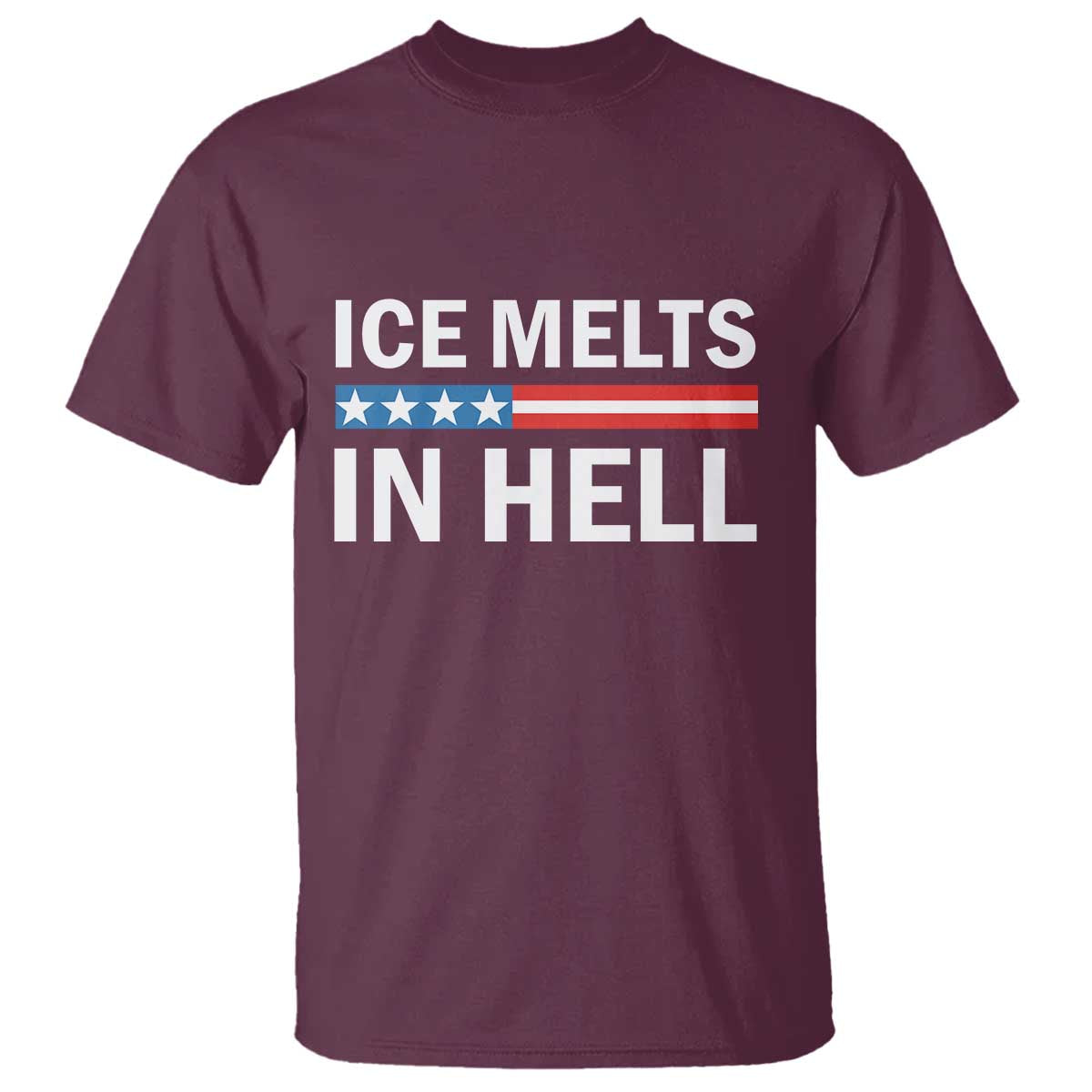Ice Melts In Hell T Shirt Activist Statement Quote