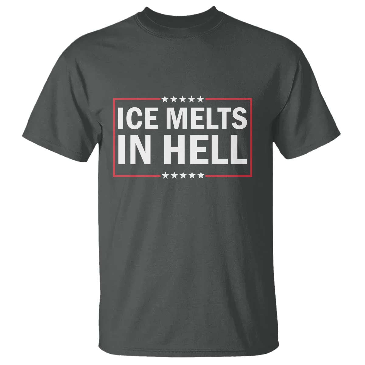 Ice Melts In Hell T Shirt Immigrant Rights Activist Statement Protest Quote