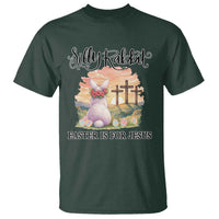 Silly Rabbit Easter Is For Jesus T Shirt Christian Easter