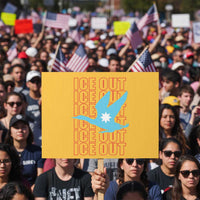 Minnesota Anti ICE Immigration Protest Protest Sign Ice Out