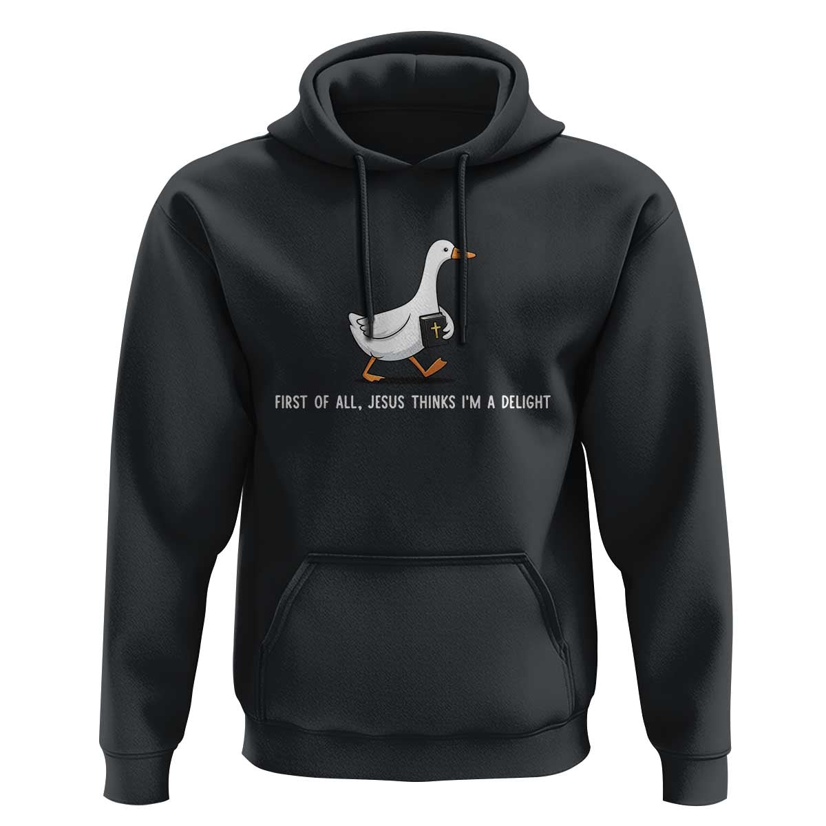 Jesus Thinks I'm A Delight Hoodie Funny Christian Goose Sarcastic