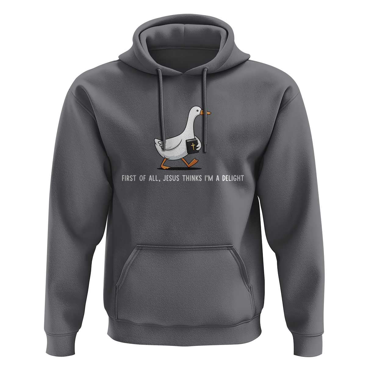 Jesus Thinks I'm A Delight Hoodie Funny Christian Goose Sarcastic