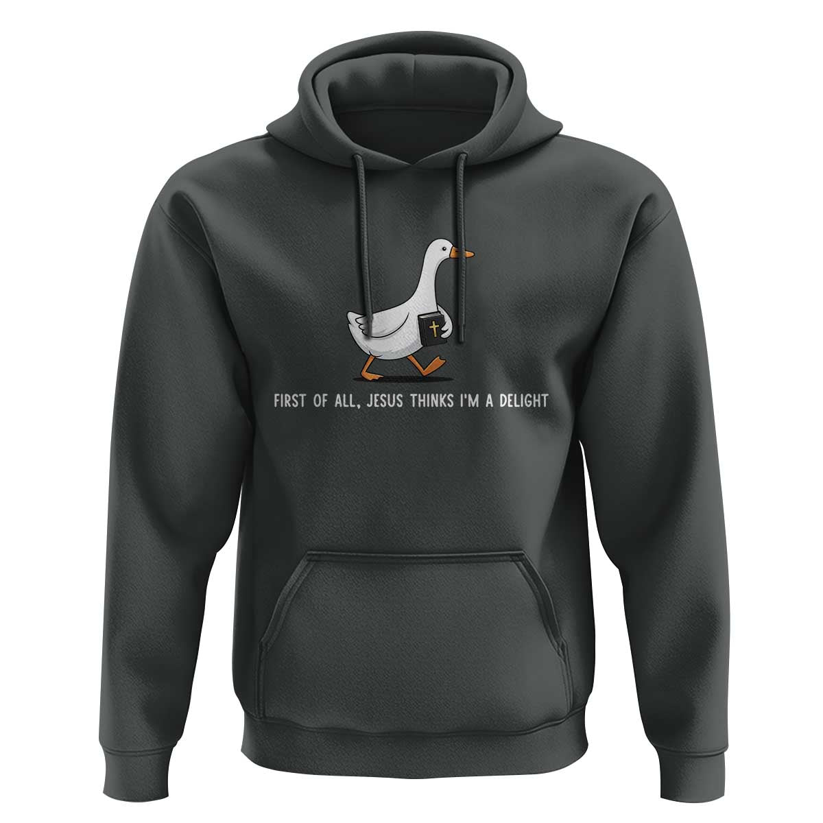Jesus Thinks I'm A Delight Hoodie Funny Christian Goose Sarcastic