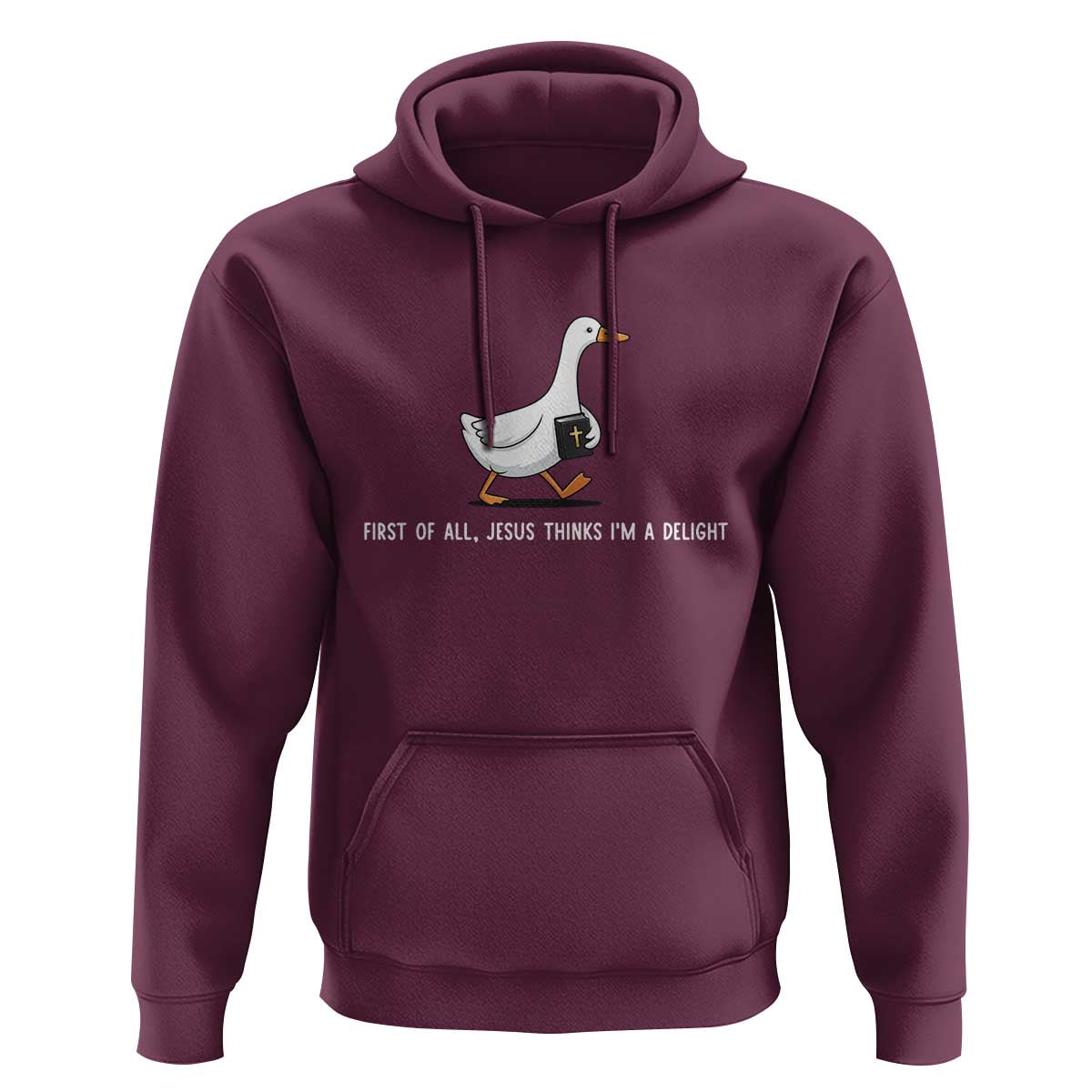 Jesus Thinks I'm A Delight Hoodie Funny Christian Goose Sarcastic