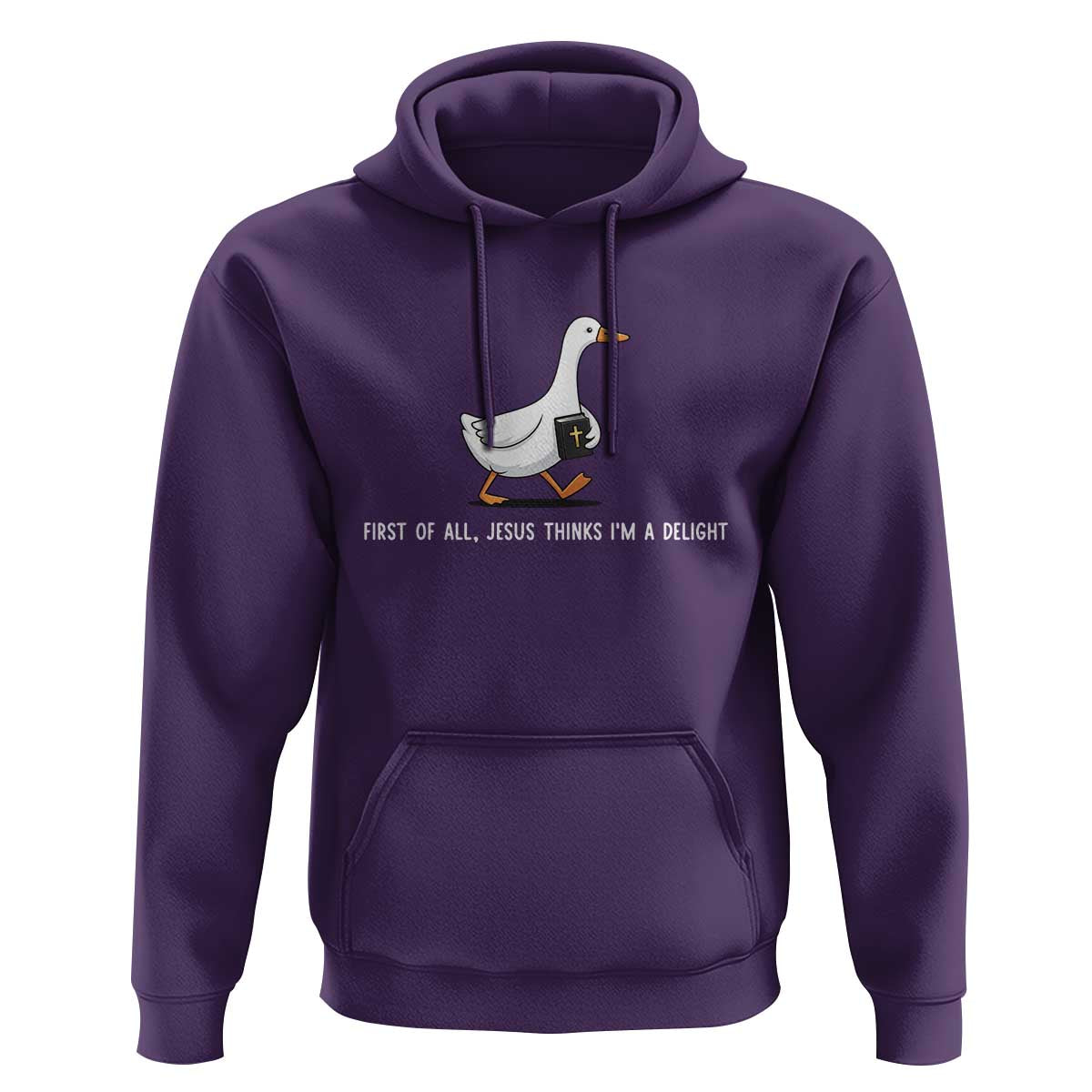 Jesus Thinks I'm A Delight Hoodie Funny Christian Goose Sarcastic