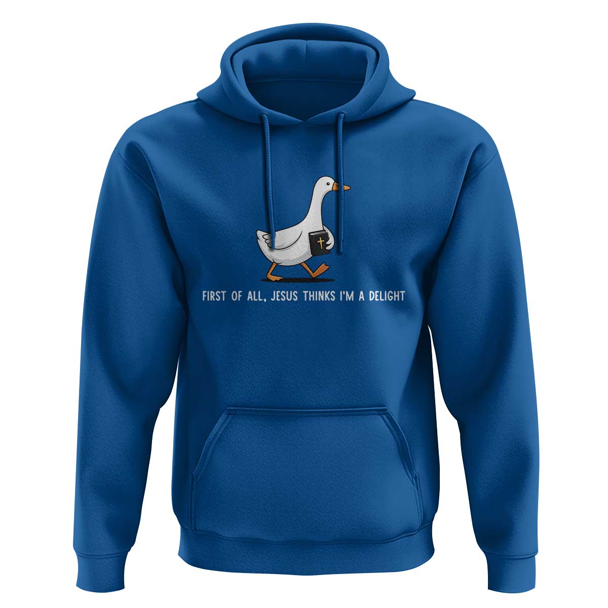 Jesus Thinks I'm A Delight Hoodie Funny Christian Goose Sarcastic