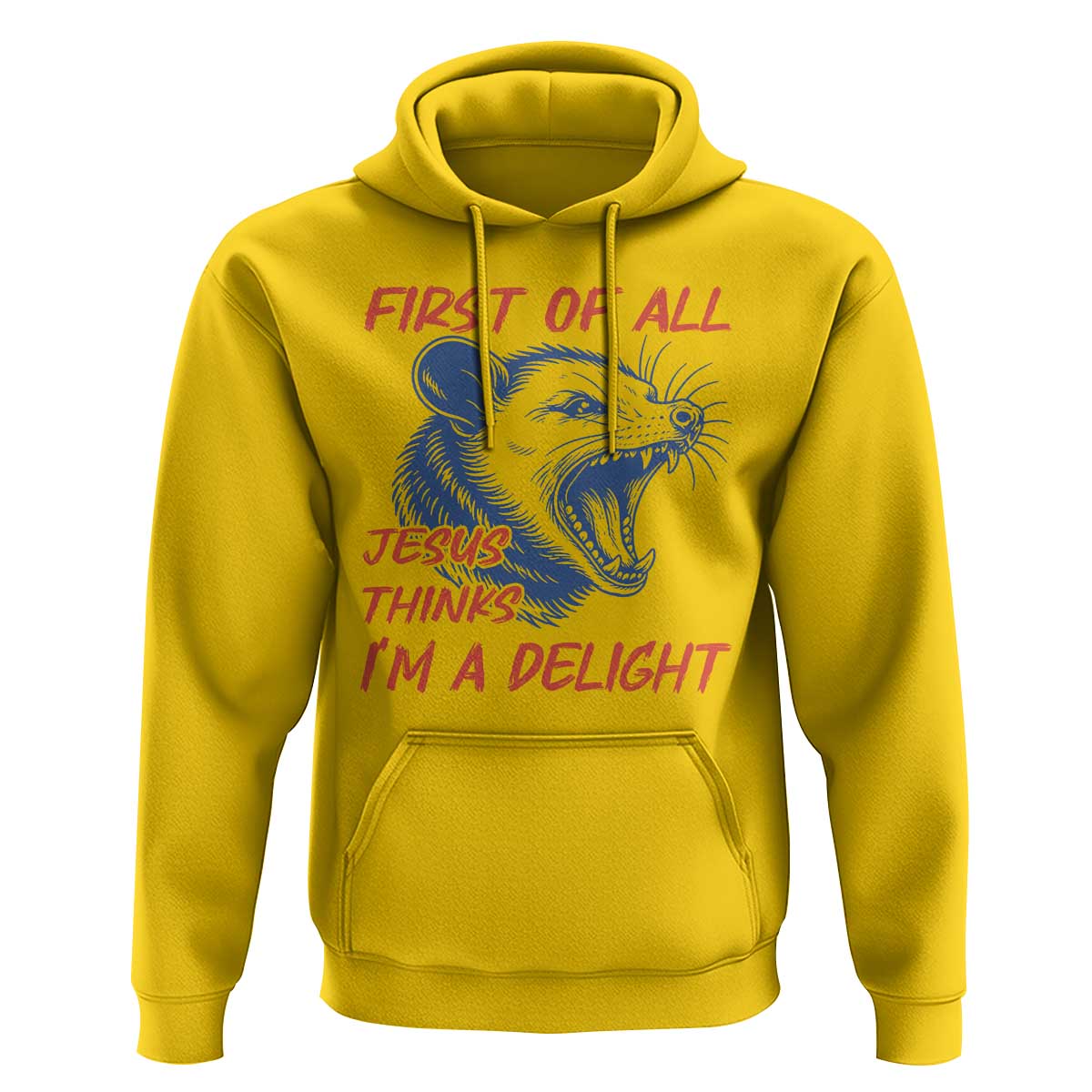 First of All Jesus Thinks I'm A Delight Hoodie Funny Opossum Christian