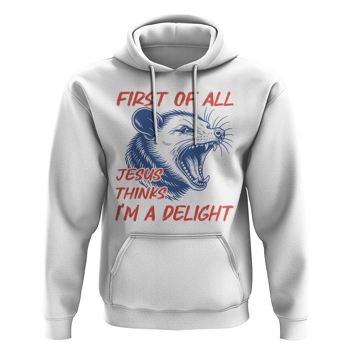 First of All Jesus Thinks I'm A Delight Hoodie Funny Opossum Christian