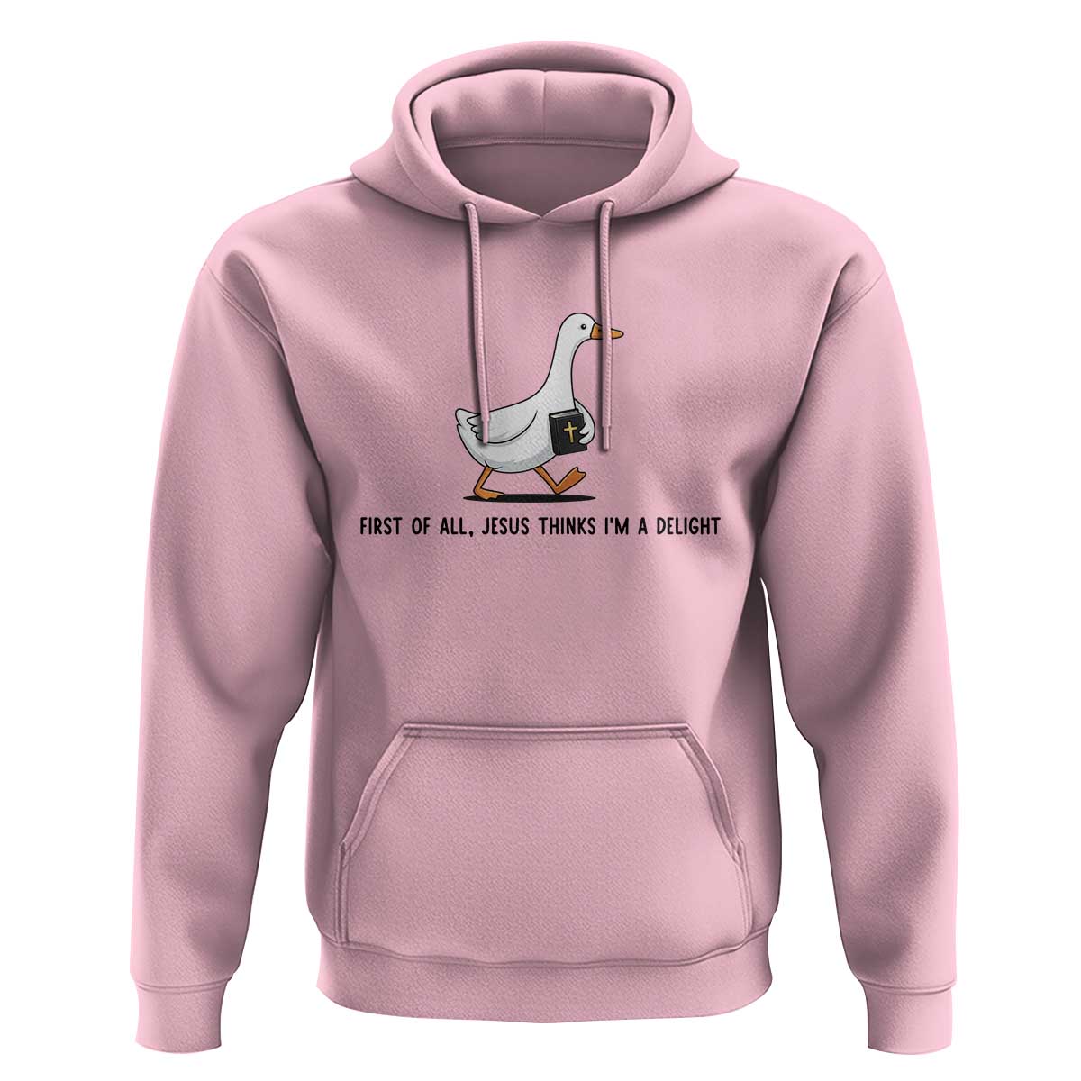 Funny Christian Goose Hoodie Jesus Thinks I'm A Delight
