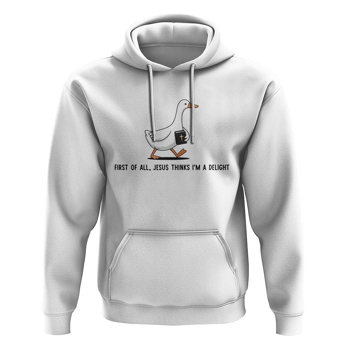Funny Christian Goose Hoodie Jesus Thinks I'm A Delight
