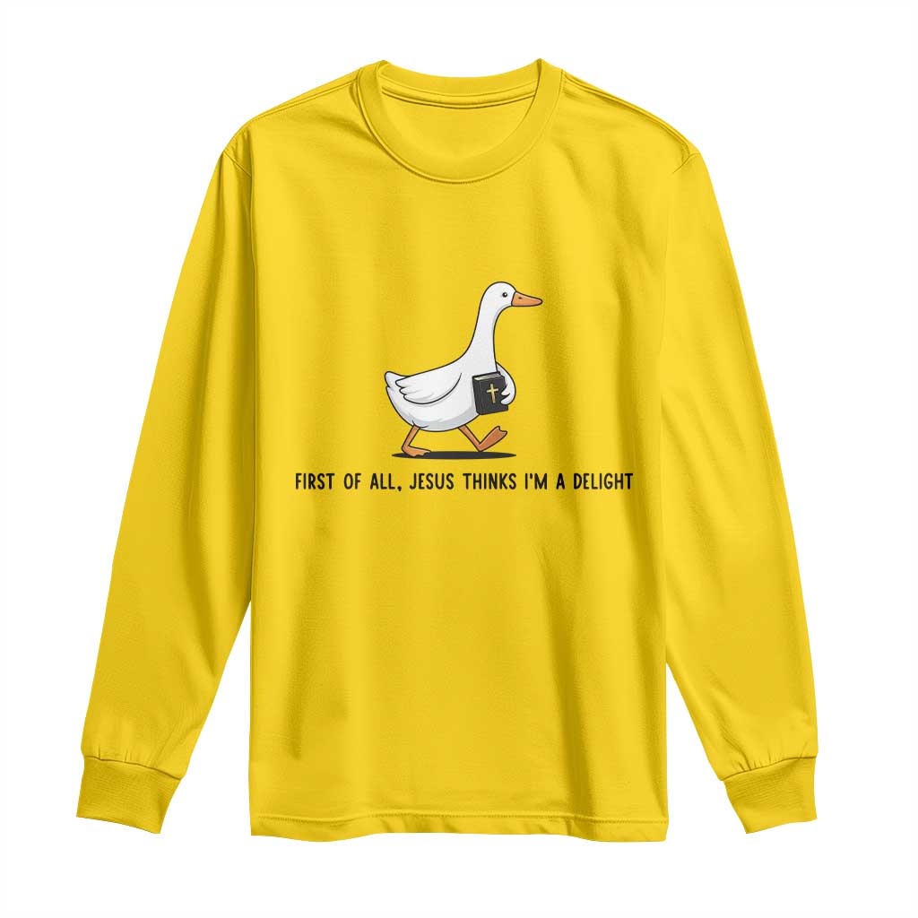 Funny Christian Goose Long Sleeve Shirt Jesus Thinks I'm A Delight