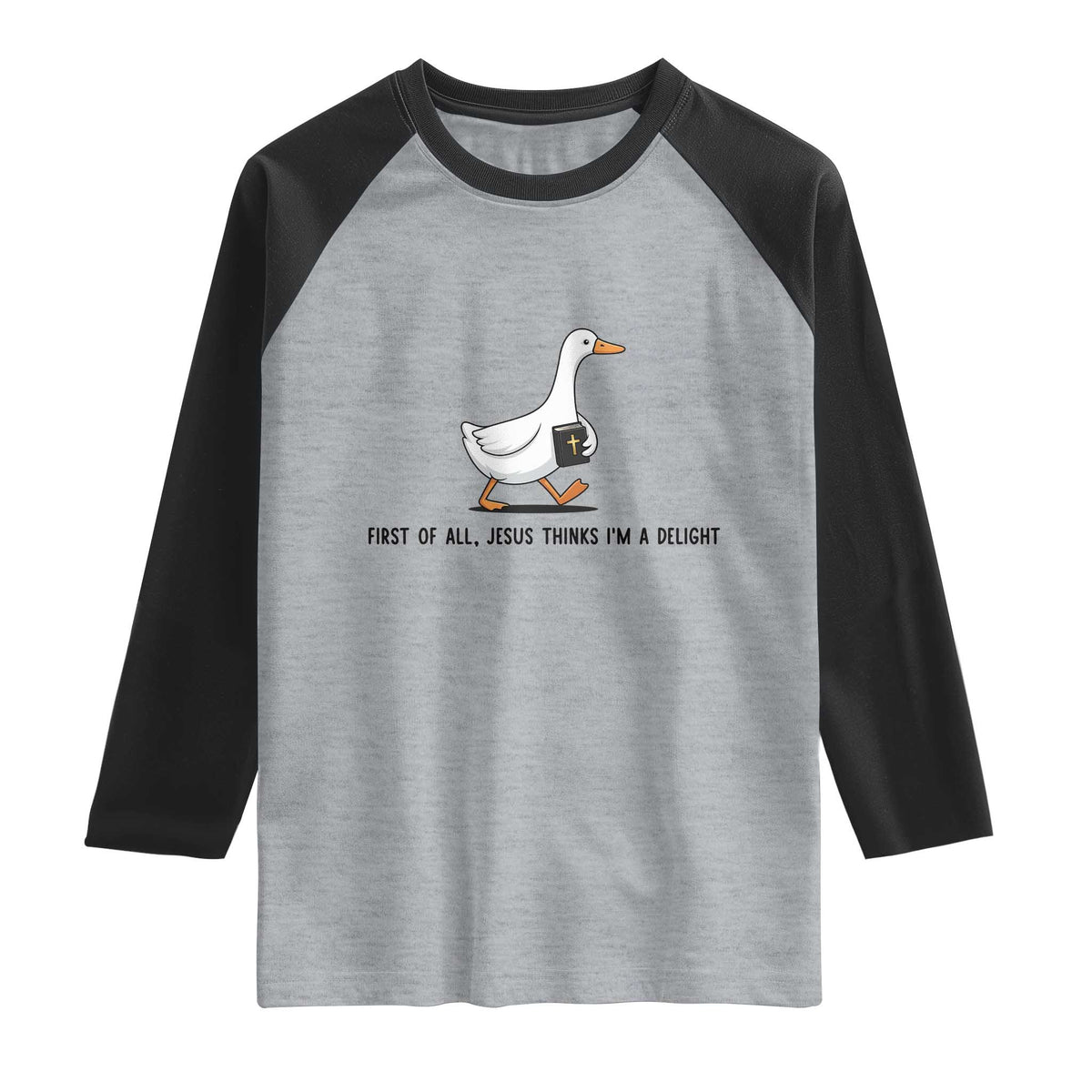 Funny Christian Goose Raglan Shirt Jesus Thinks I'm A Delight
