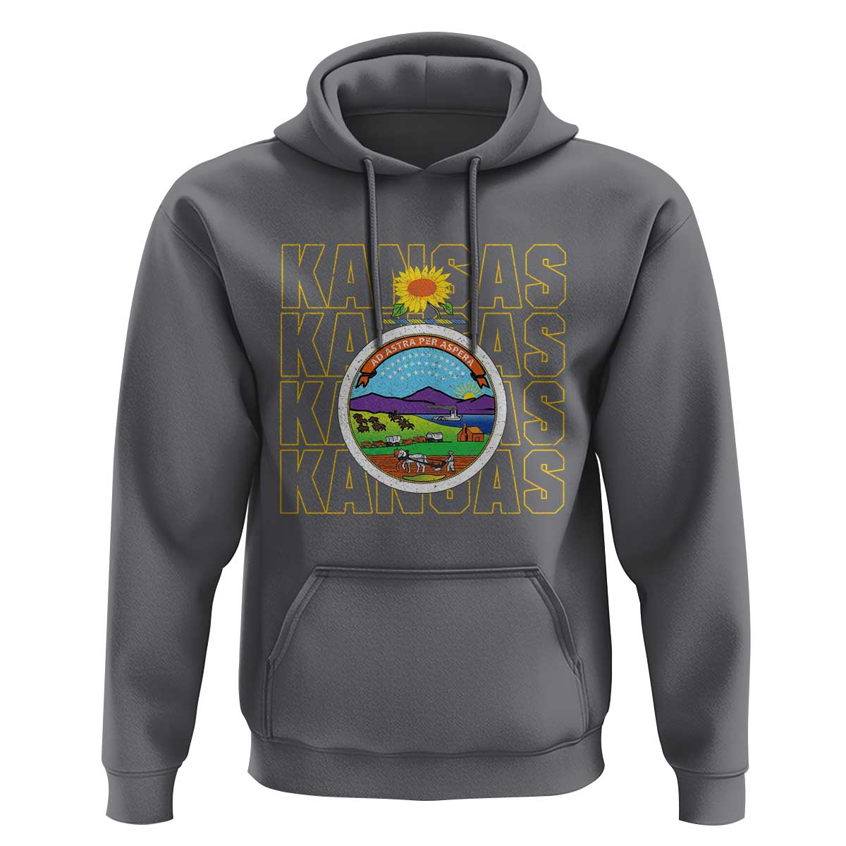 Retro Kansas Flag Vintage KS Souvenir Hoodie