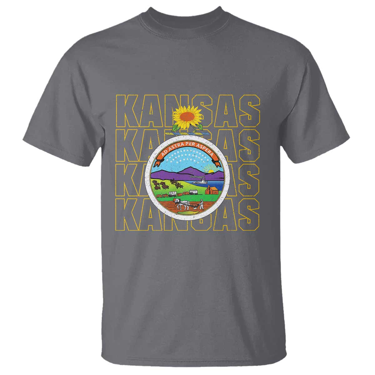 Retro Kansas Flag Vintage KS Souvenir T Shirt