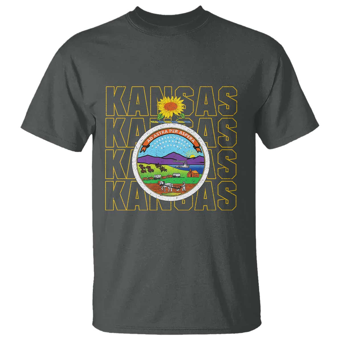 Retro Kansas Flag Vintage KS Souvenir T Shirt