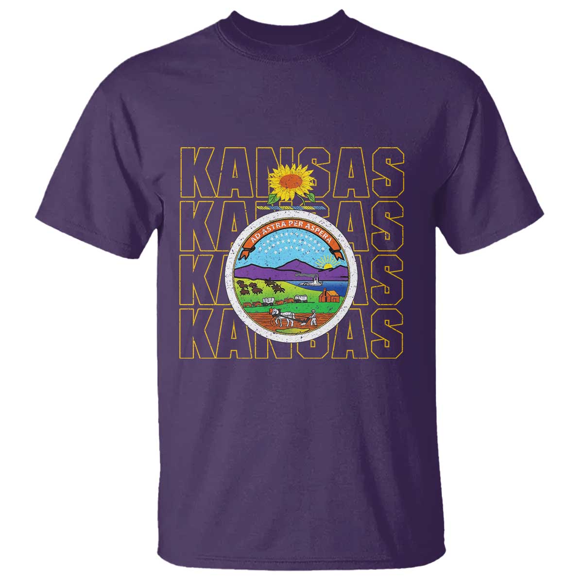 Retro Kansas Flag Vintage KS Souvenir T Shirt