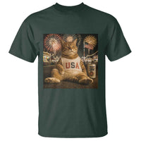 USA 250th Anniversary Statue of Liberty T Shirt The Summer USA Turned 250