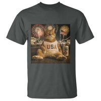 USA 250th Anniversary Statue of Liberty T Shirt The Summer USA Turned 250