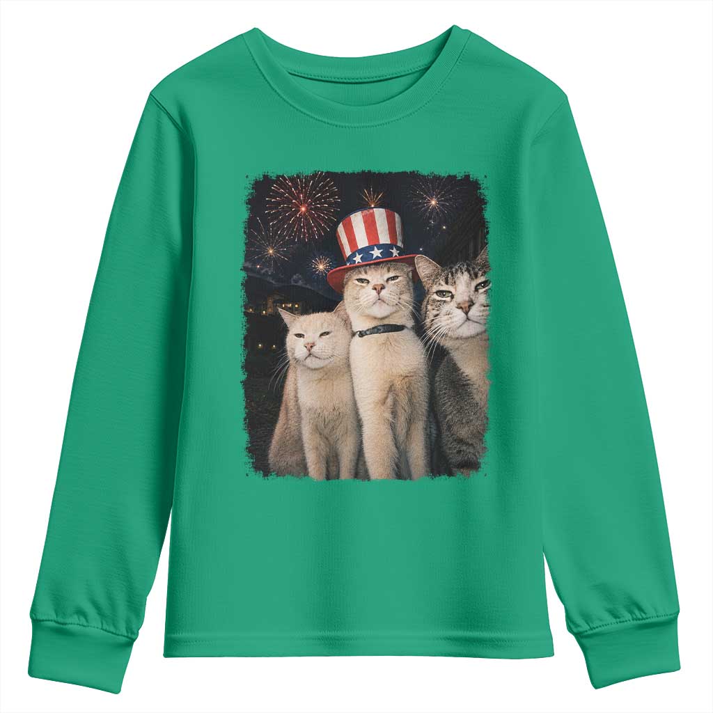 Patriotic Smoking Cat Youth Sweatshirt Funny American Cat Lover 4th of July