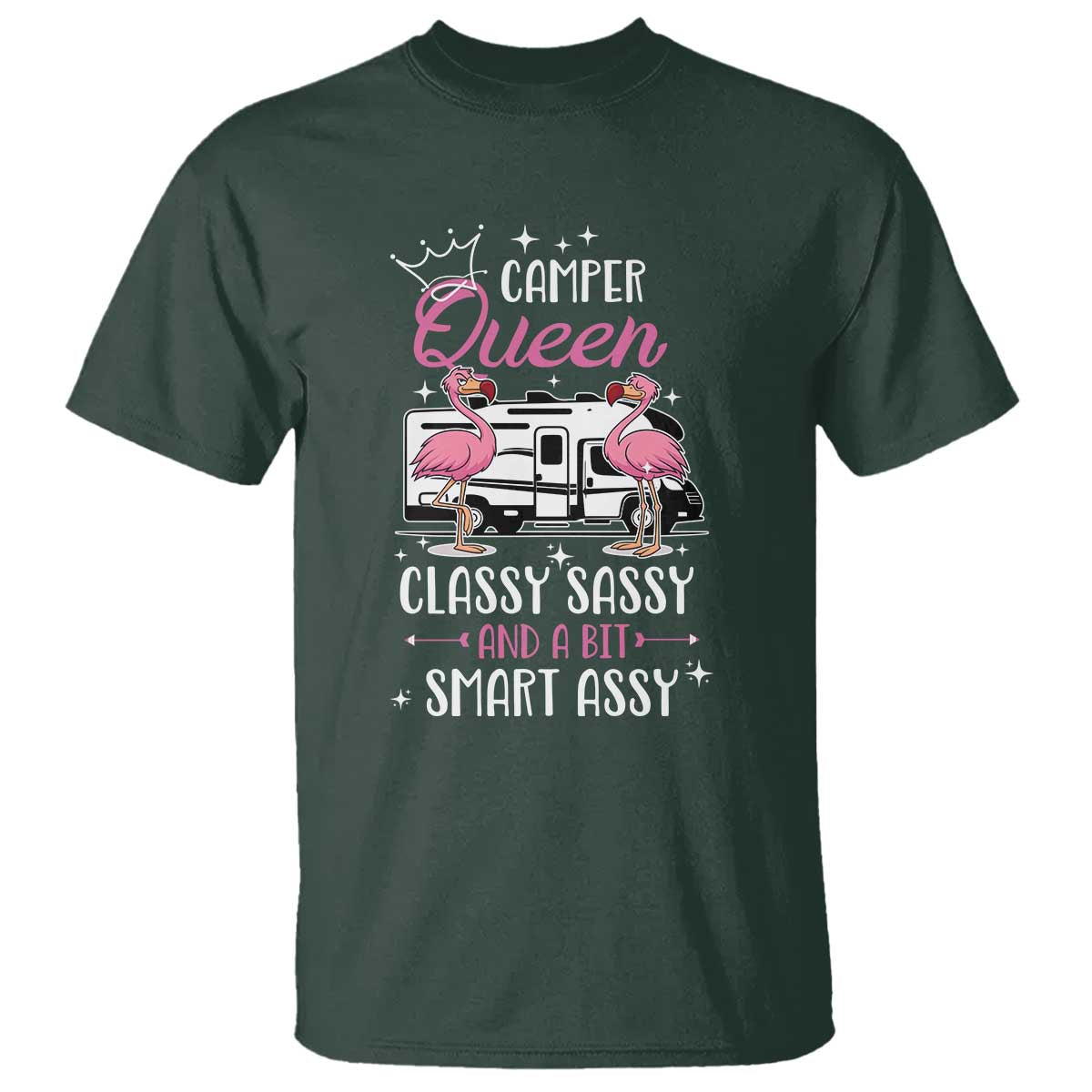 Funny Camping RV T Shirt Camper Queen Classy Sassy And A Bit Smart Assy - Wonder Print Shop
