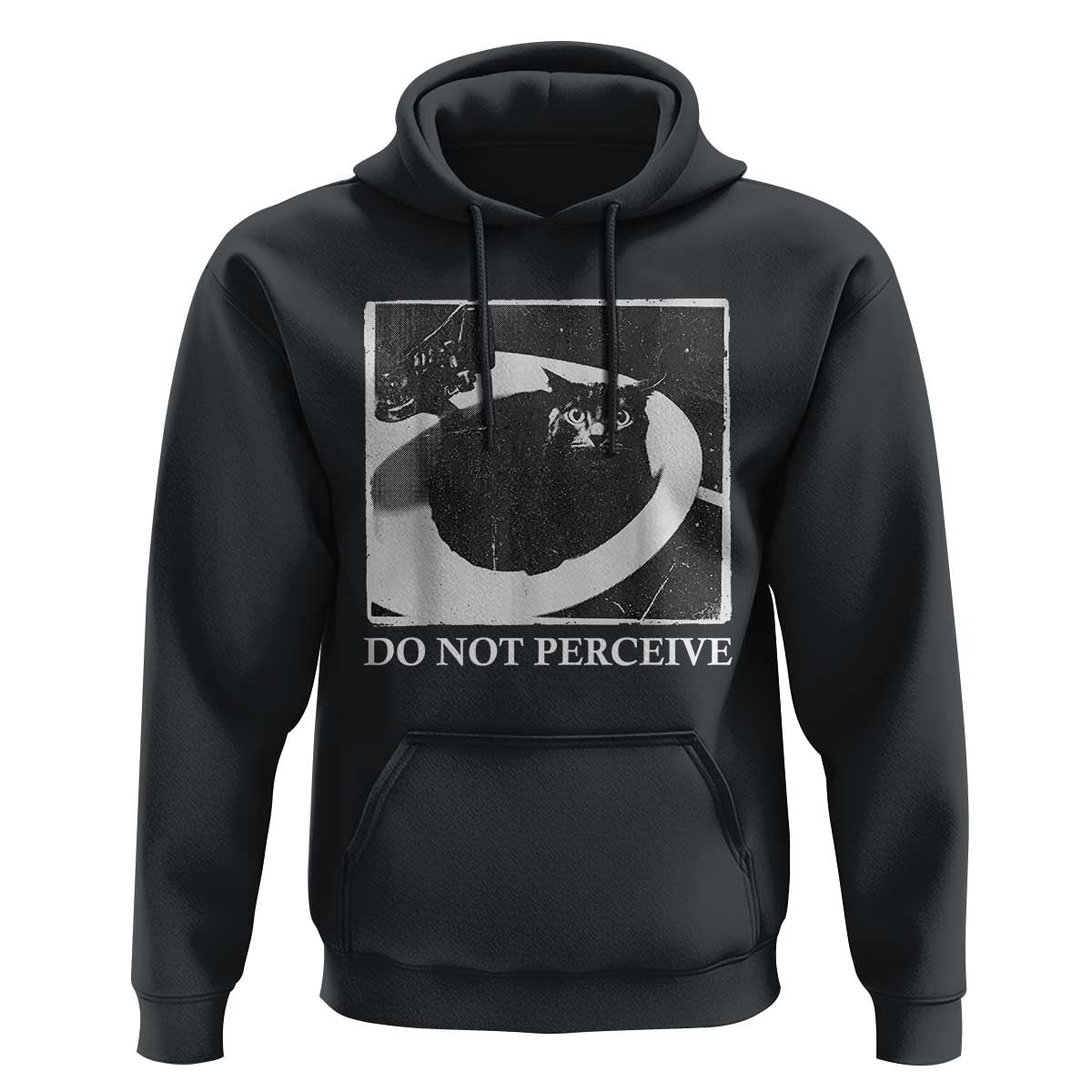 Do Not Perceive Me Funny Meme Cat Lover Hoodie Funny Cat Sarcstic Meme