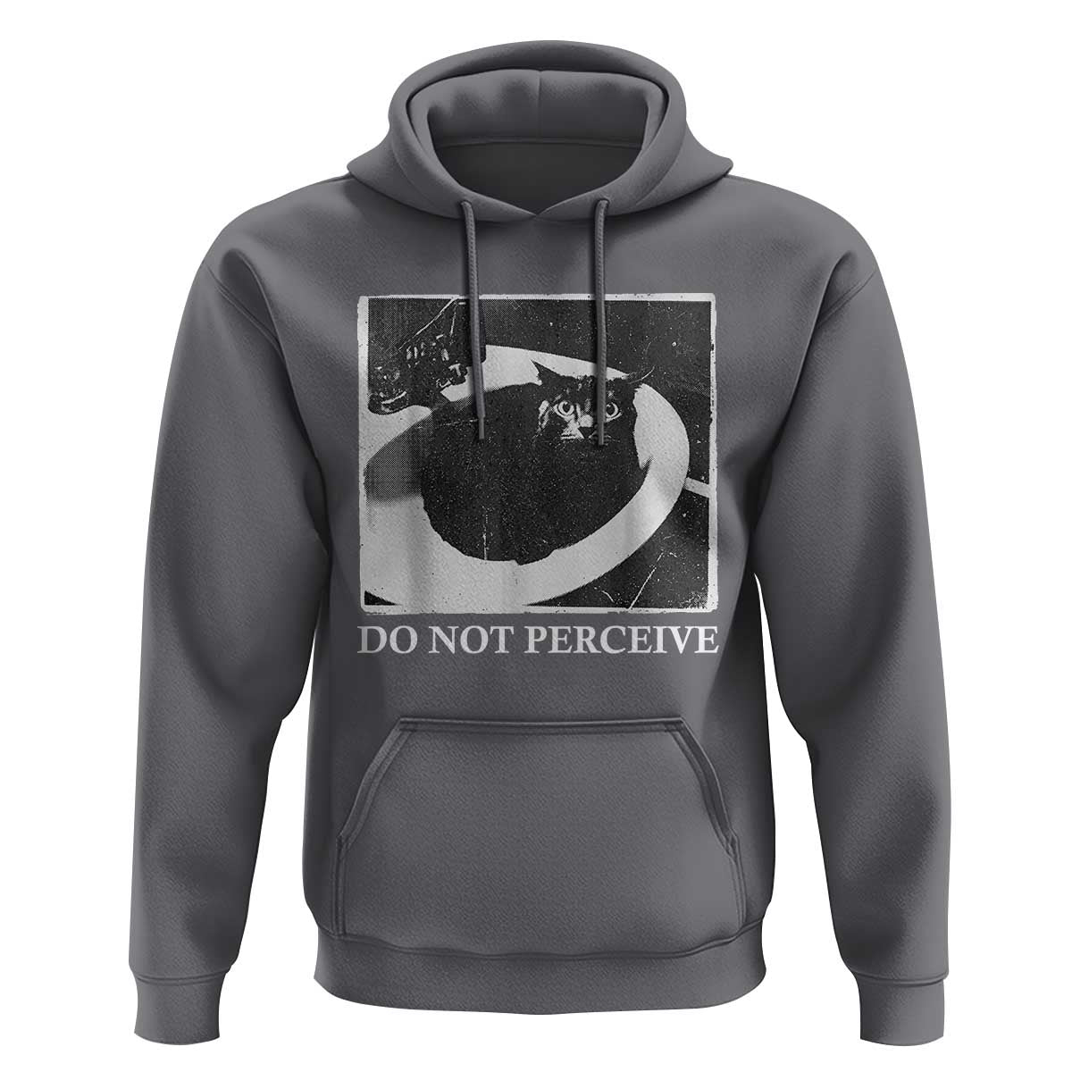 Do Not Perceive Me Funny Meme Cat Lover Hoodie Funny Cat Sarcstic Meme
