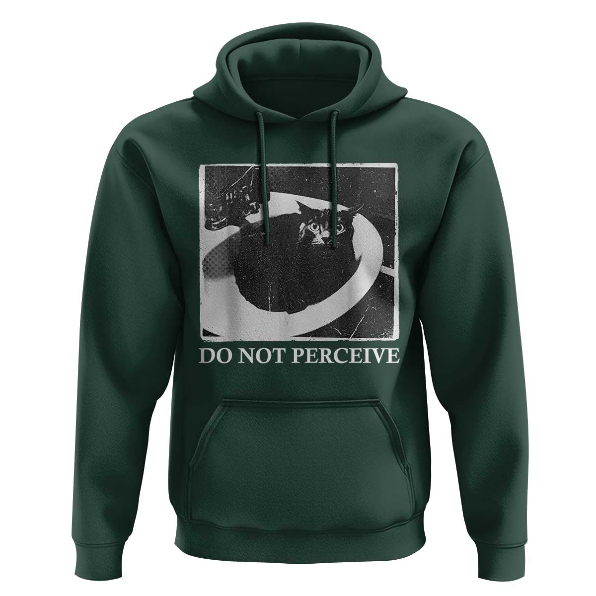 Do Not Perceive Me Funny Meme Cat Lover Hoodie Funny Cat Sarcstic Meme